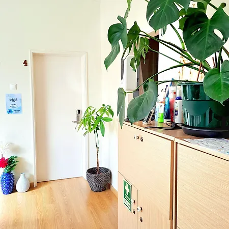 Гостьовий будинок Prana Guesthouse, Yoga & Ayurveda