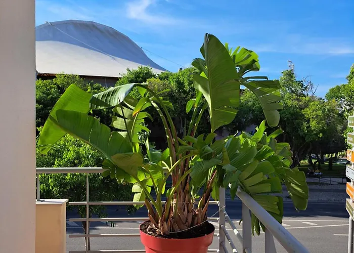 Prana Guesthouse, Yoga & Ayurveda